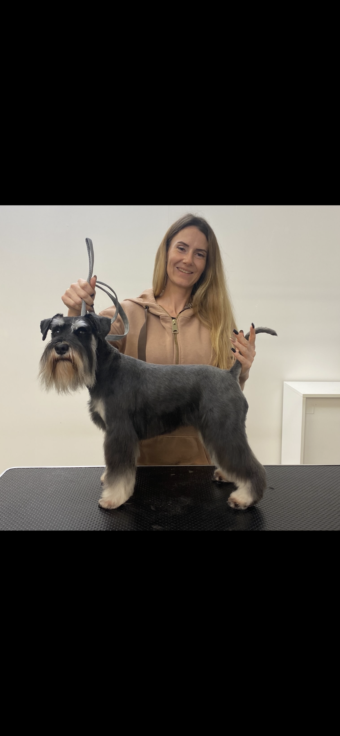Professional dog groomer gently brushing a happy poodle at Clip Pet